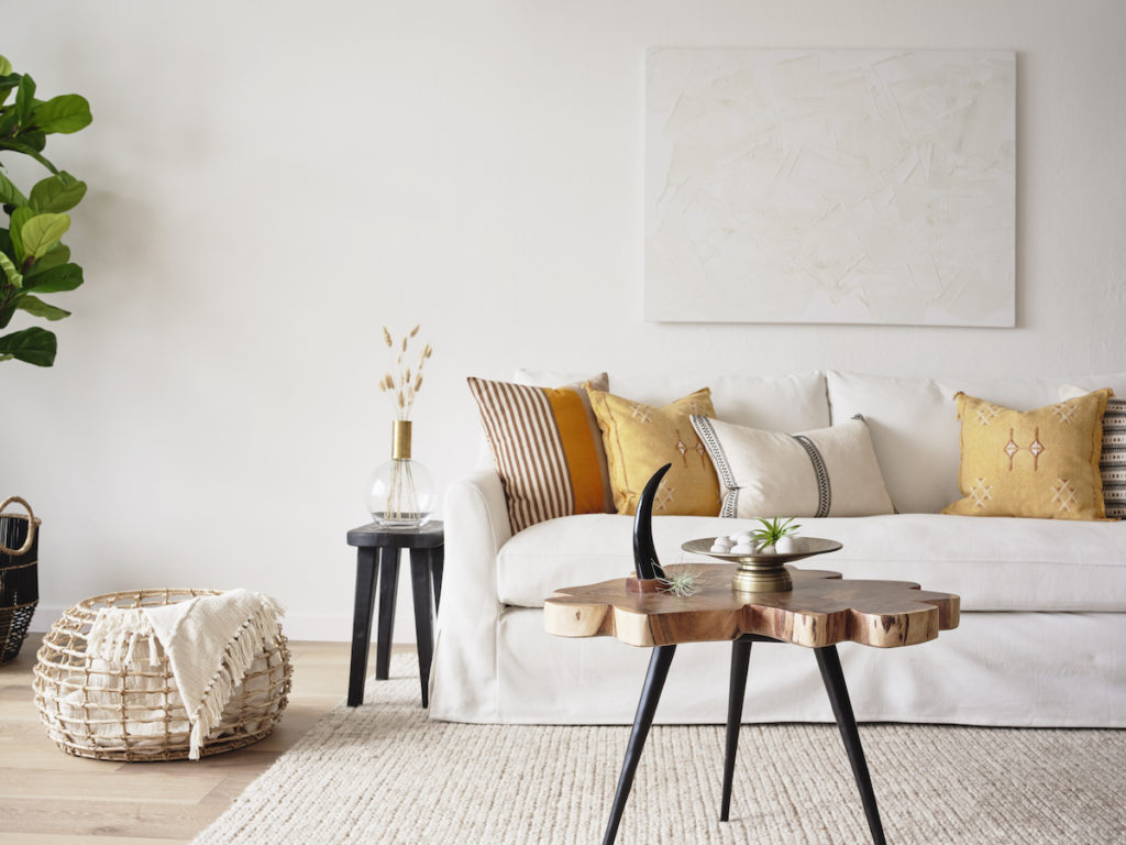 Meet the New Kit on the Block: Styling Your Home Just Got Easier · Haven